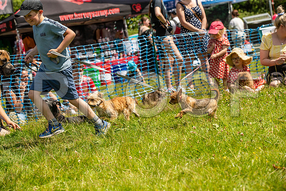 2039__PAWSFundogShow_July2022_cshaw