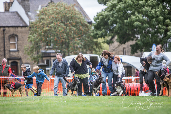 2049_BarkintheParkHuddersfield_2014_bluplanetphoto