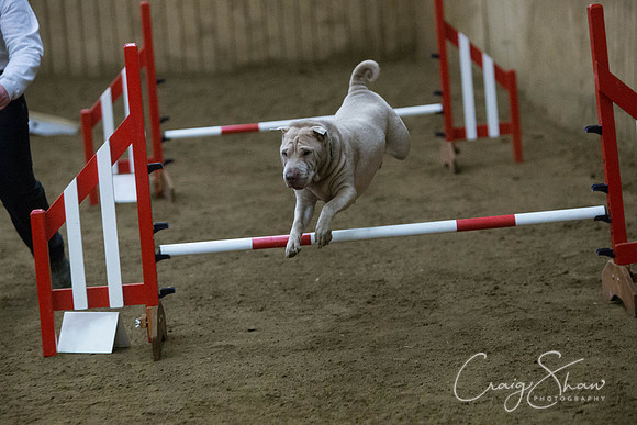 2837_springfling2015_bluplanetphoto