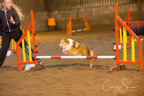 361_springfling2015_bluplanetphoto