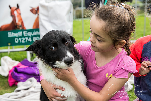 269_Woofstock2016_craigshaw