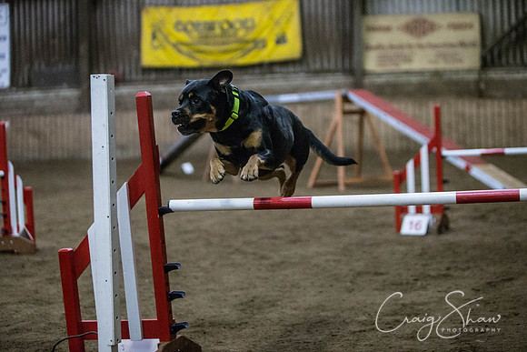 1220_springfling2015_bluplanetphoto