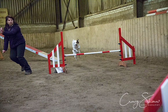 568_springfling2015_bluplanetphoto