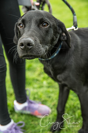 658_Woofstock2016_craigshaw