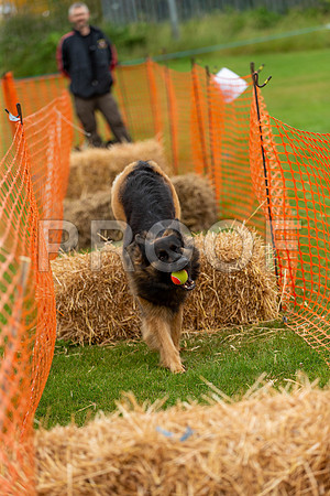 2158_SpringersFunDay2019_craigshawphoto
