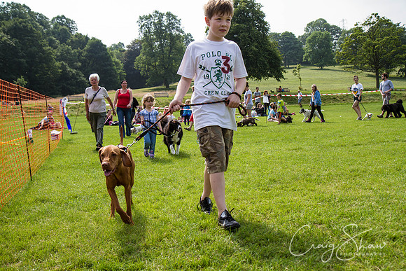 RSPCA Dog Day Afternoon