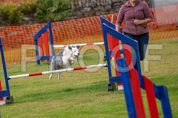 1103_SpringersFunDay2019_craigshawphoto