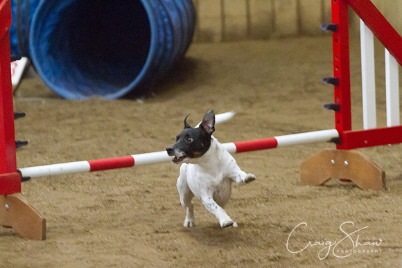 spring fling 2012-1242
