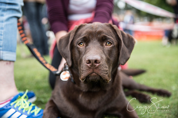 1042_BarkintheParkHuddersfield_2014_bluplanetphoto