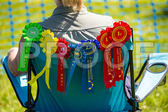 2711__PAWSFundogShow_July2022_cshaw