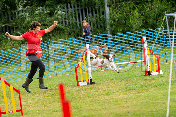 0619_SpringersFunDay2019_craigshawphoto