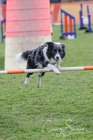 244__SpringersFunDay_March2014_bluplanetphoto