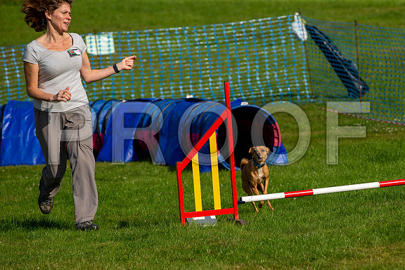 0126_SpringersFunDay2019_craigshawphoto