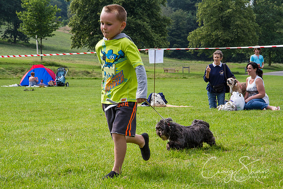 RSPCA Dog Day Afternoon