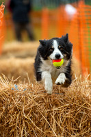 2743_SpringersFunDay2019_craigshawphoto