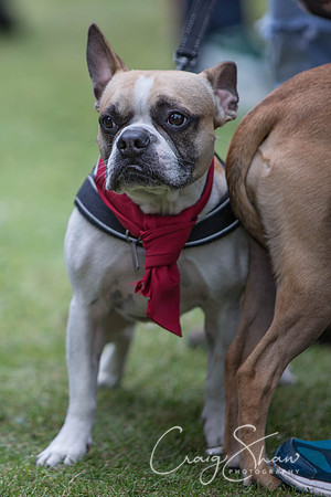 122_BarkintheParkHuddersfield_2014_bluplanetphoto