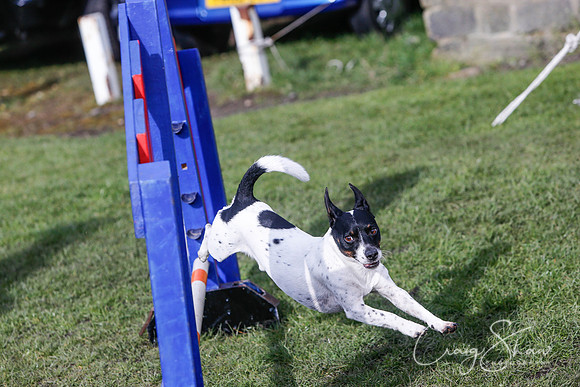 1765__SpringersFunDay_March2014_bluplanetphoto