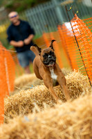 2940_SpringersFunDay2019_craigshawphoto