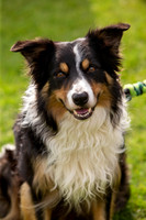 0258_SpringersFunDay2019_craigshawphoto
