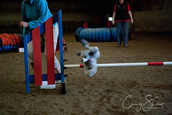 spring fling 2012-1222