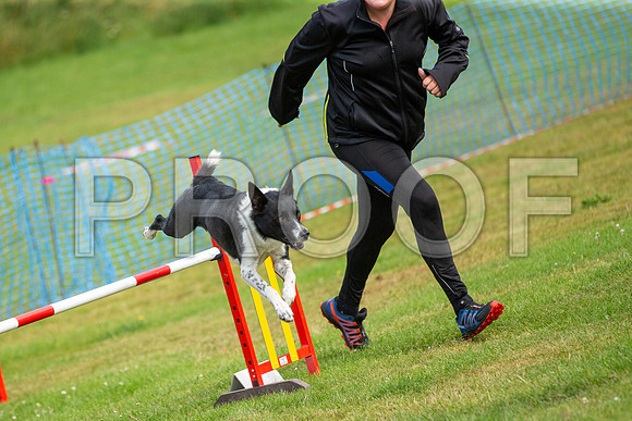 0894_SpringersFunDay2019_craigshawphoto
