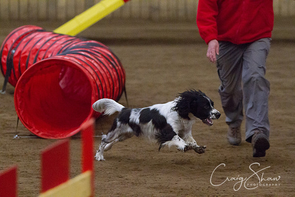 spring fling 2012-910