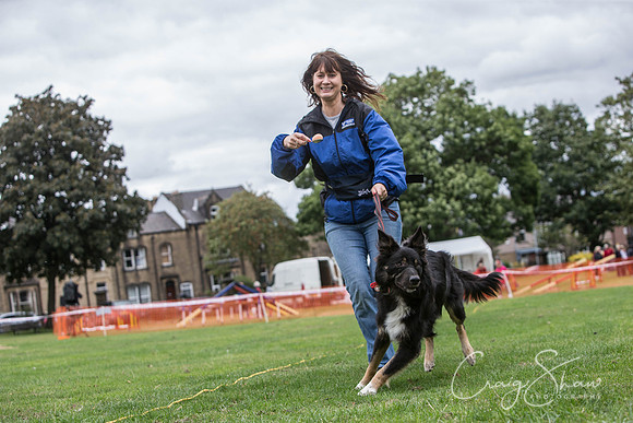 1836_BarkintheParkHuddersfield_2014_bluplanetphoto