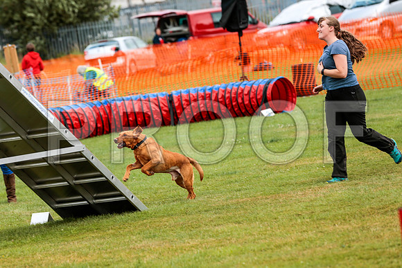 3237_SpringersFunDay2019_craigshawphoto