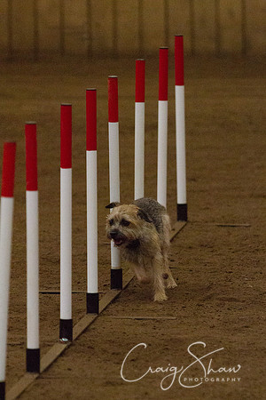 spring fling 2012-2289