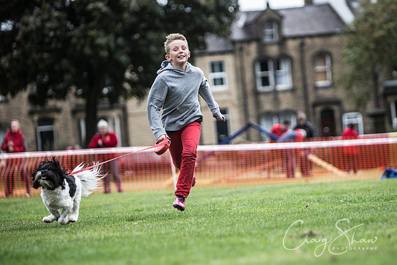 2133_BarkintheParkHuddersfield_2014_bluplanetphoto
