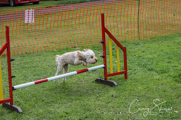 330_BarkintheParkHuddersfield_2014_bluplanetphoto