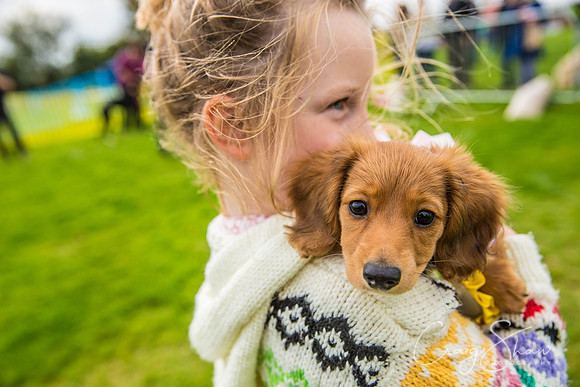441_Woofstock2016_craigshaw