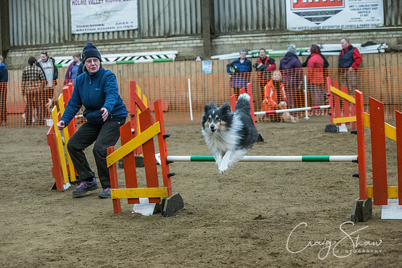 2537_springfling2015_bluplanetphoto