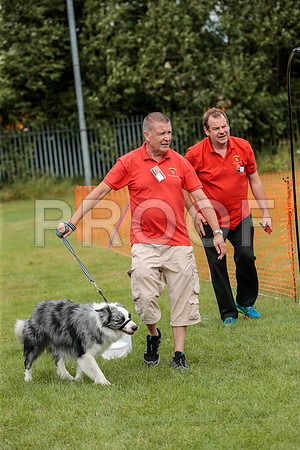 3188_SpringersFunDay2019_craigshawphoto
