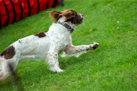 1079_SpringersFunDay2019_craigshawphoto