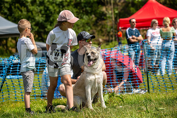 1945__PAWSFundogShow_July2022_cshaw