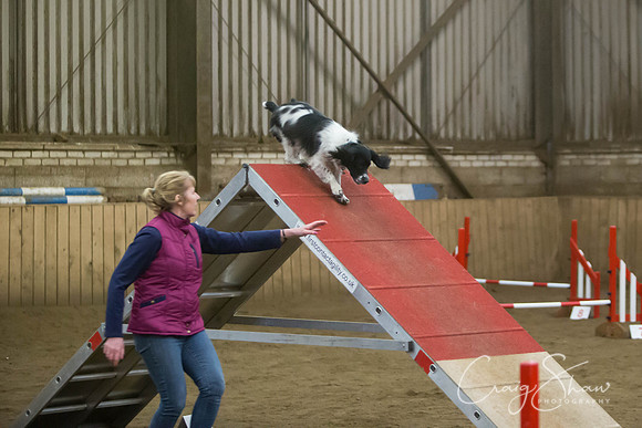 2695_springfling2015_bluplanetphoto