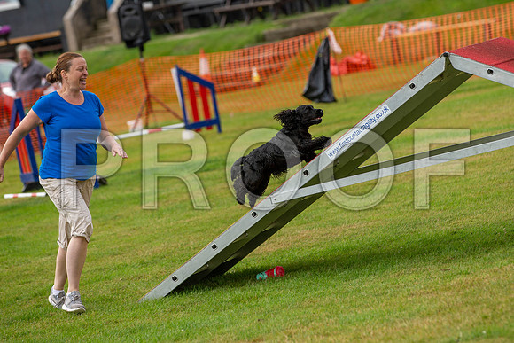 0340_SpringersFunDay2019_craigshawphoto