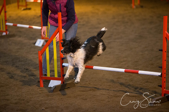 272_springfling2015_bluplanetphoto