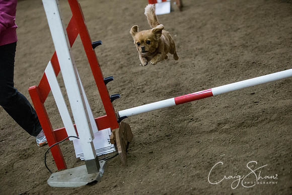 2868_springfling2015_bluplanetphoto