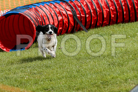 3364_SpringersFunDay2019_craigshawphoto