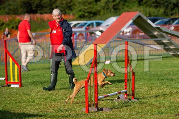 0121_SpringersFunDay2019_craigshawphoto