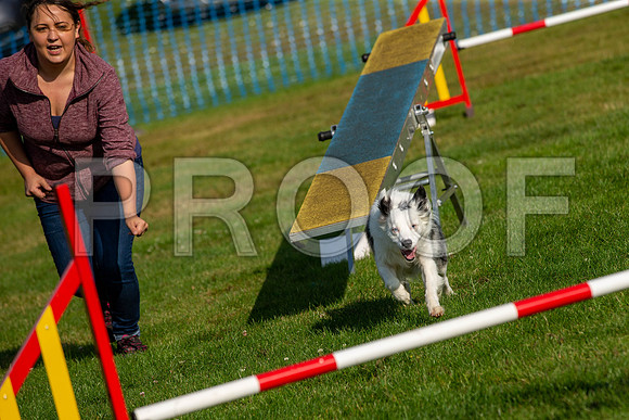 0145_SpringersFunDay2019_craigshawphoto