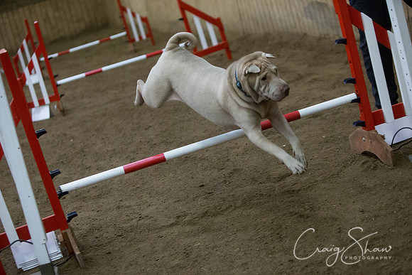 2844_springfling2015_bluplanetphoto