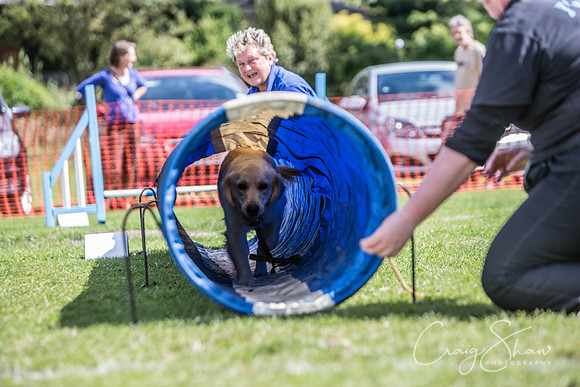 344_HebdenHappyHounds_2014_bluplanetphoto