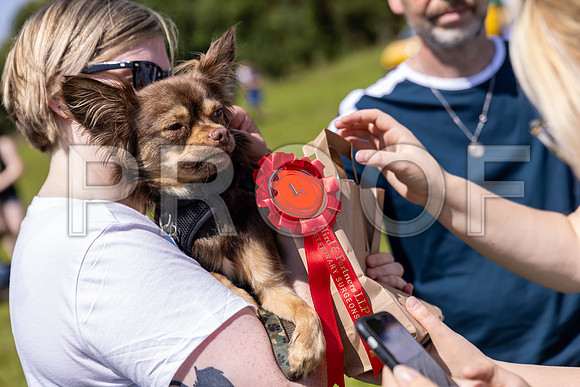 2157__PAWSFundogShow_July2022_cshaw