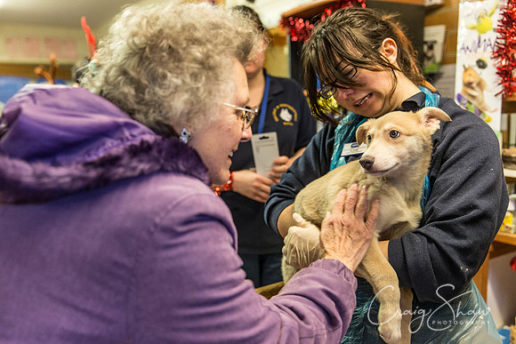 24_RSPCA_Christmas_Dec2013_bluplanetphoto