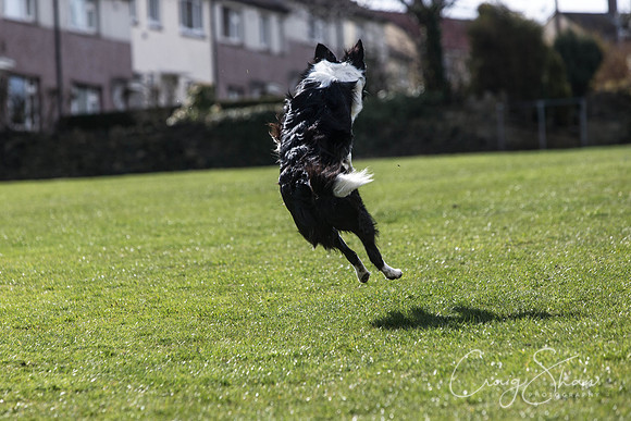 1260__SpringersFunDay_March2014_bluplanetphoto