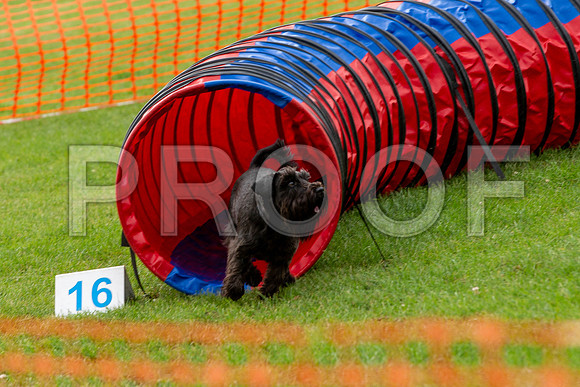 0422_SpringersFunDay2019_craigshawphoto