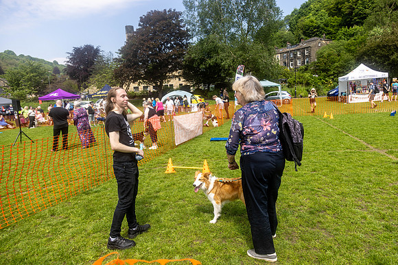 1969_HebdensHappyHounds2024_Cshaw-